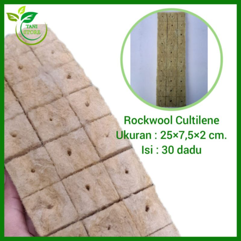 Rockwool cultilene hidroponik 30 dadu