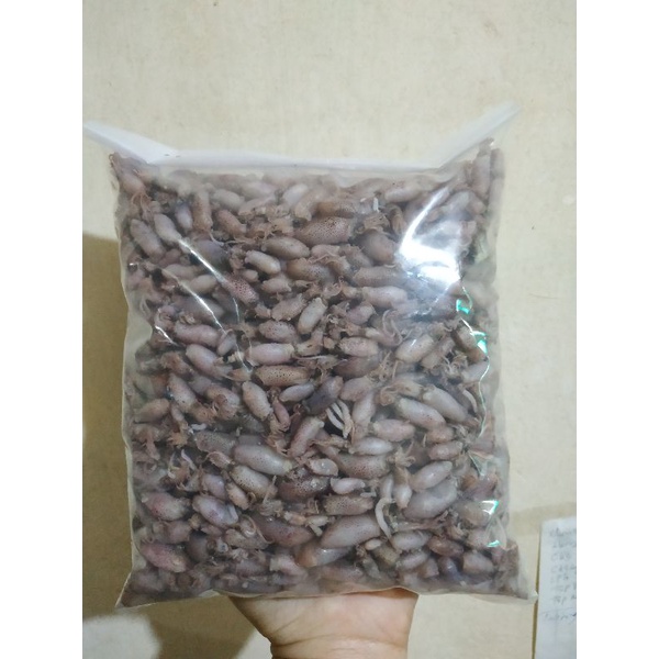 

Baby Cumi Medan premium babycumi 1kg