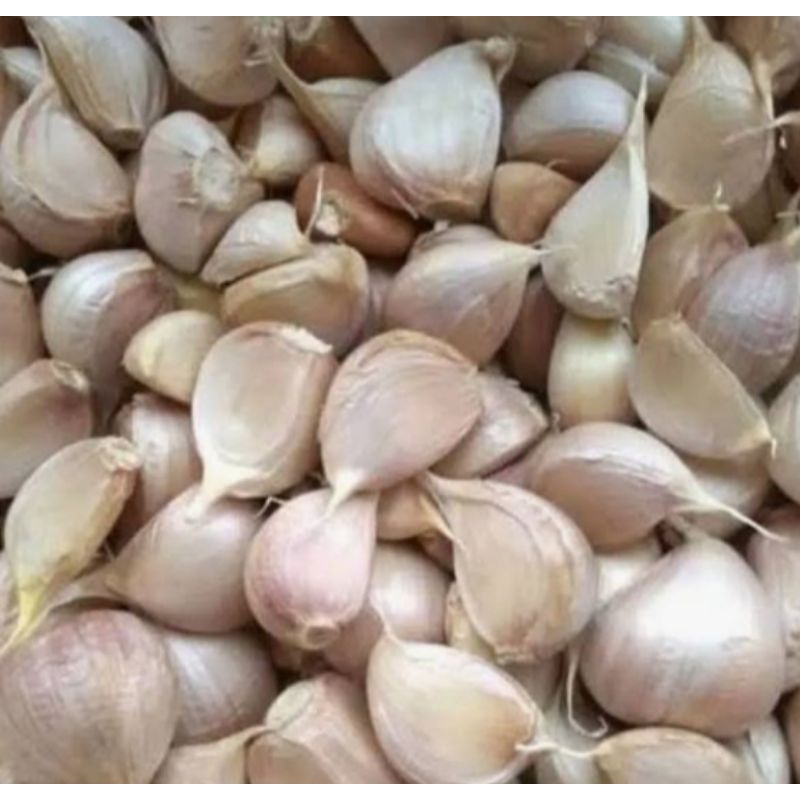 

bawang putih kating super premium glosir murah(sudah disortir) 1kg