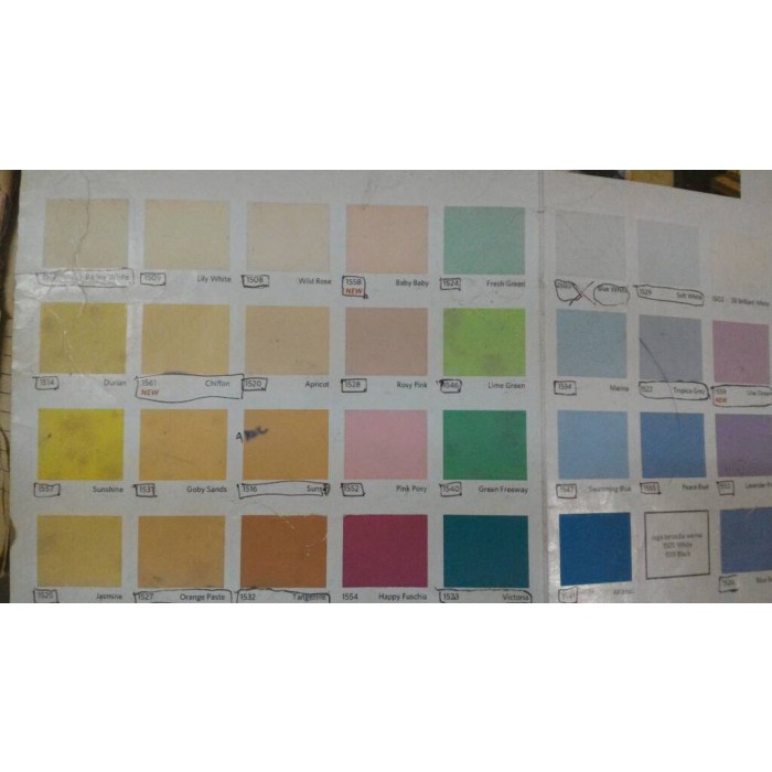 Cat Tembok QLuc 5 Kg