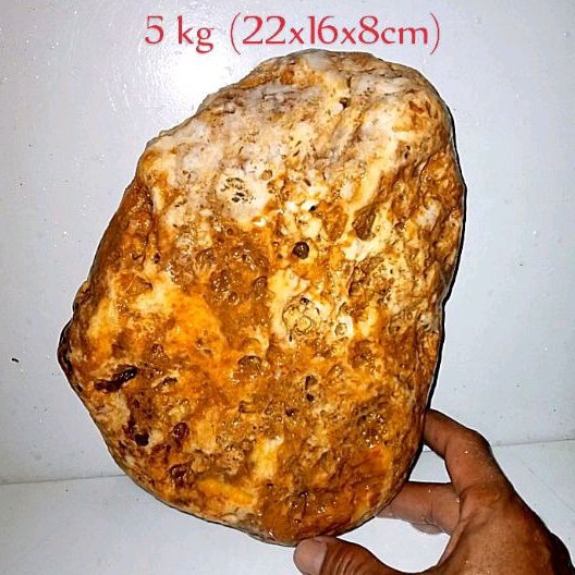 5 kg batu mani gajah kristal (905)