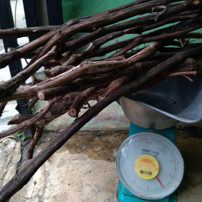 

Promo Rootstock Anggur Isabella