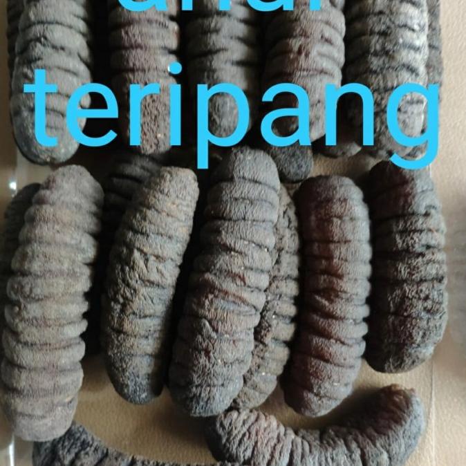 

Promo teripang belitung teripang gosok isi 15-17an per 500gram