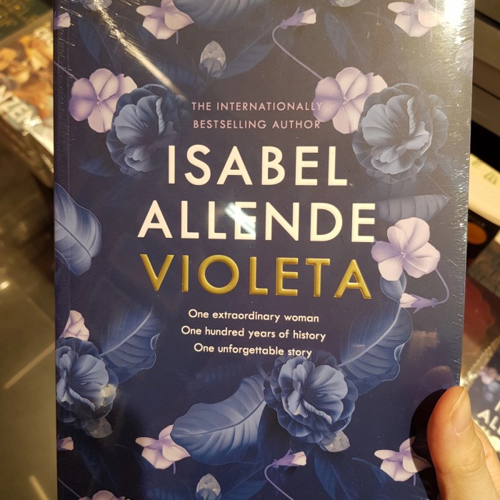 Diskon Spesial Isabel Allende Violeta English Import Book Original Terlaris