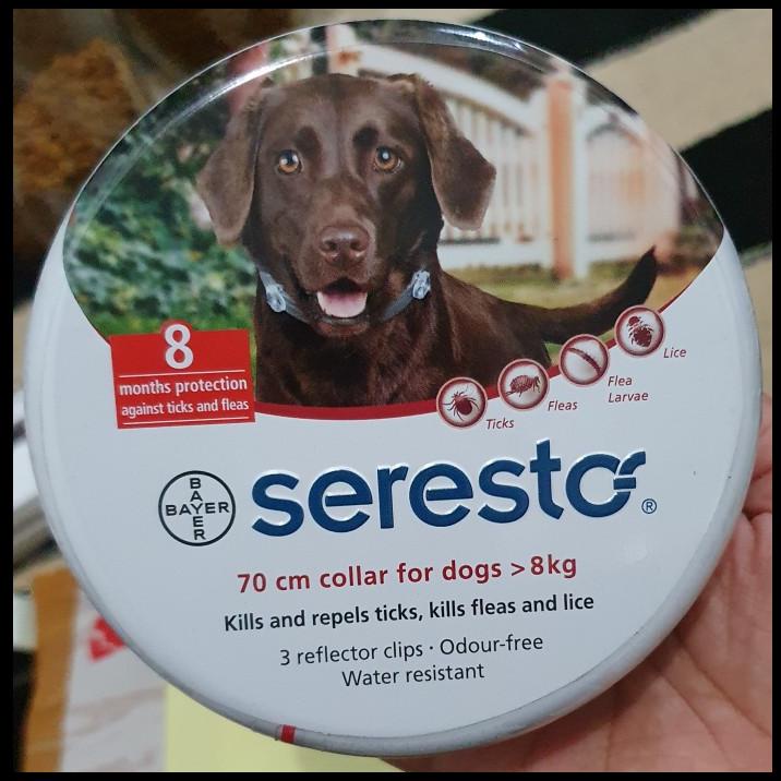 Seresto Kalung Anti Kutu Untuk Anjing Bb Diatas 8 Kg
