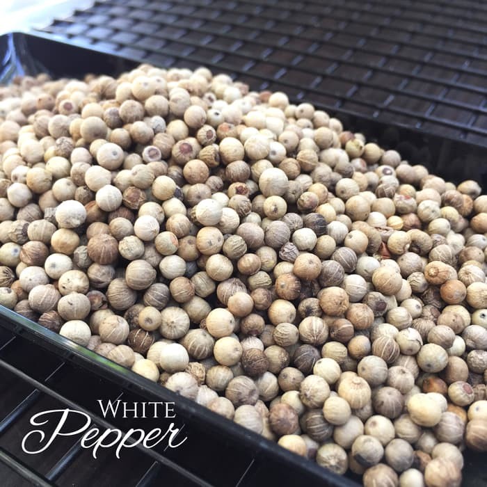 

Lada Putih / Lada Putih Butir / Merica / Lada Putih Mentah - 1kg