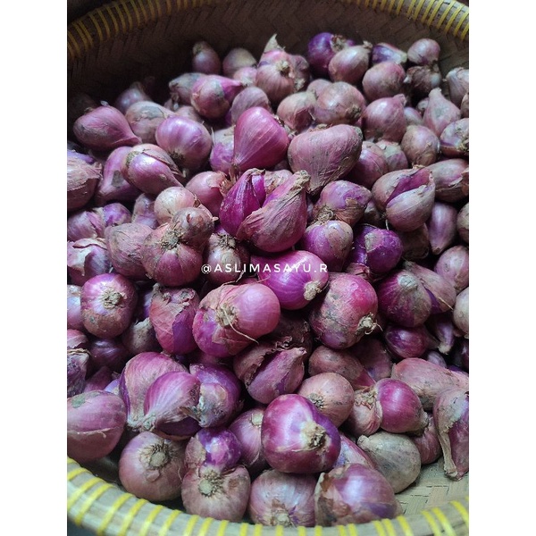 

Bawang Merah Brebes