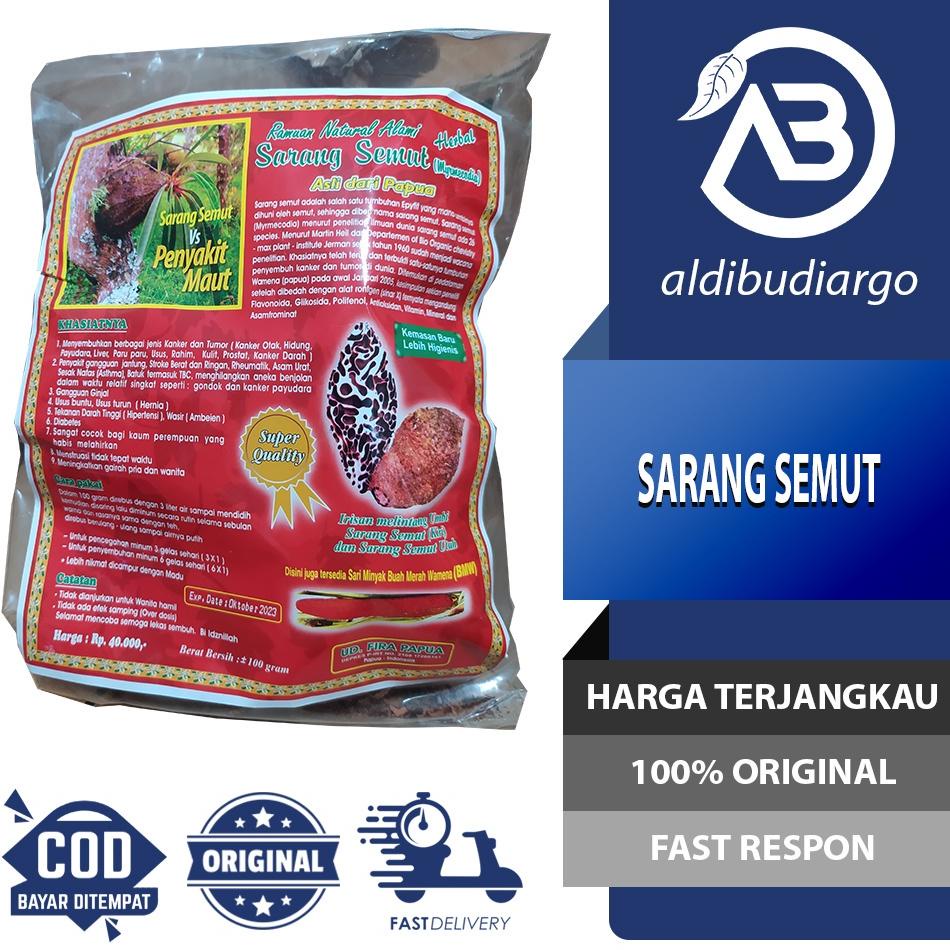 

DISCOUNT !!! SARMUT SARANG SEMUT PAPUA MYRMECODIA RAMUAN HERBAL ALAMI [KODE 441]