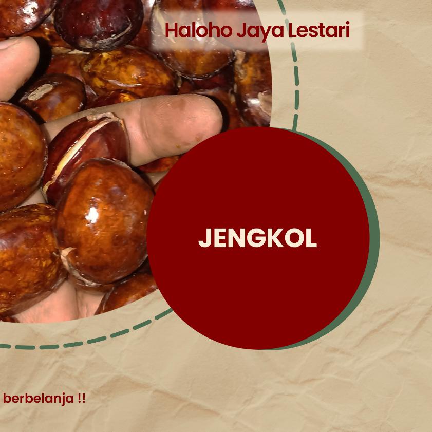 

Termurah | KI3 | JENGKOL TUA PILIHAN 1KG