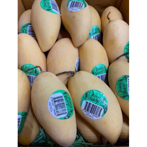 

Honey Mango Thailand Original Per 1 Kg