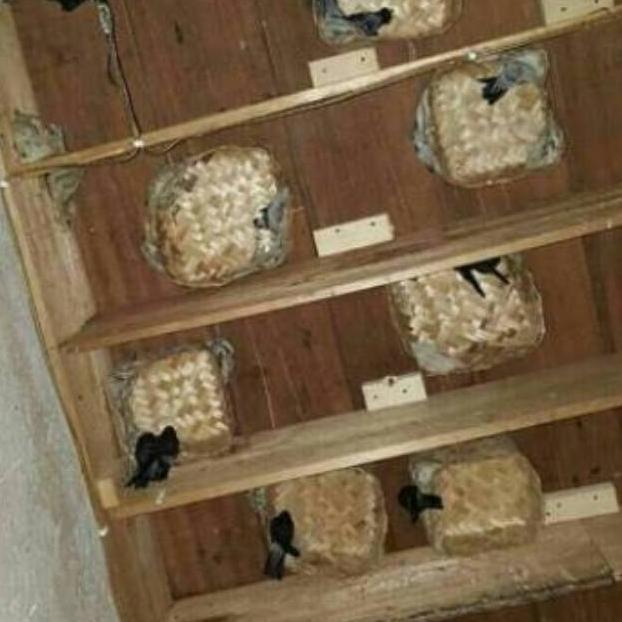 Miliki Per 10 PCS Besek Bakul Walet 25x25x10 cm besek kotak