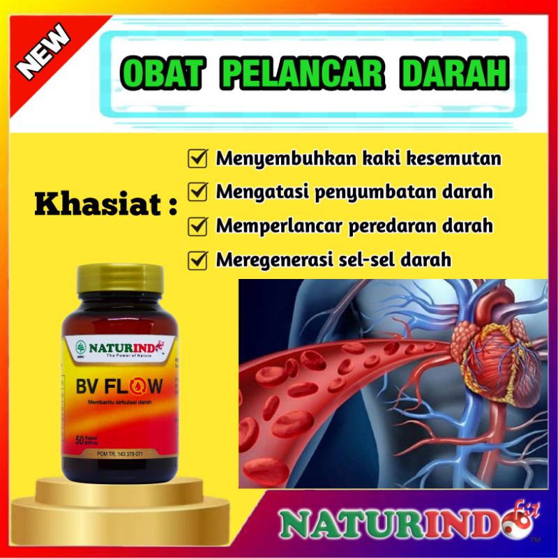 OBAT HERBAL PENYUMBATAN PEMBULUH DARAH PELANCAR SIRKULASI DARAH VARISES BV FLOW NATURINDO FARISES