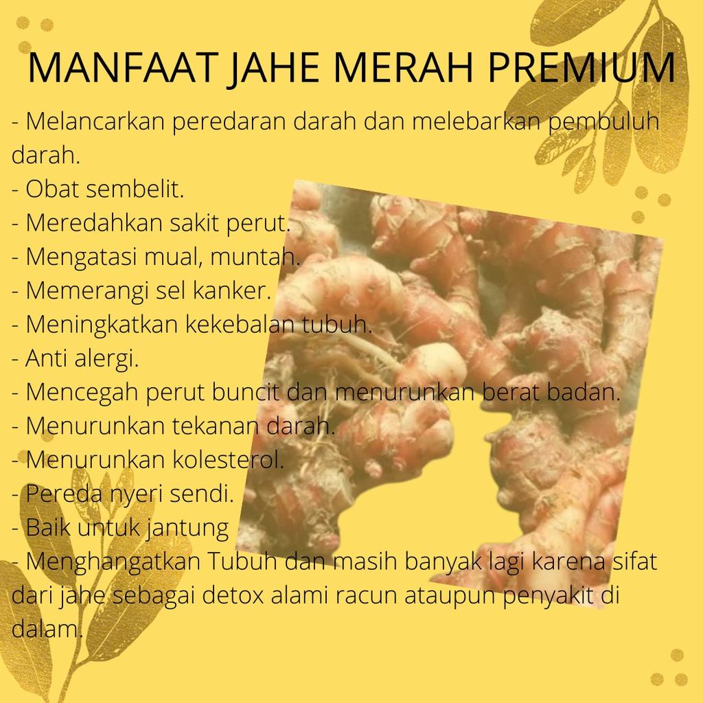 

JAHE MERAH FRESH 500gr [ TERMURAH BERKUALITAS ]