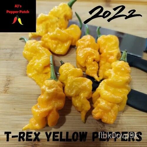 

ม์ เ็)T-RexBenihธ10ุ(นพดLada Kuning+ลั UUSL