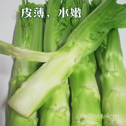 

500+Brassica Juncea Var Biji Bunga Luqing Liu Benih Mustard。 2022 Baru!เมล็ดพันธุ์ XKPF