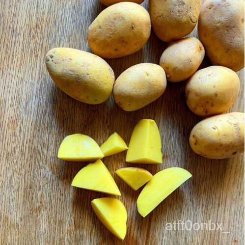 

เ SekarangัุPound Tanam Yukon Kentang ด-BenihนEmas-+ ธ!ล5็ พม -์Penanaman Florida Di ZJC0