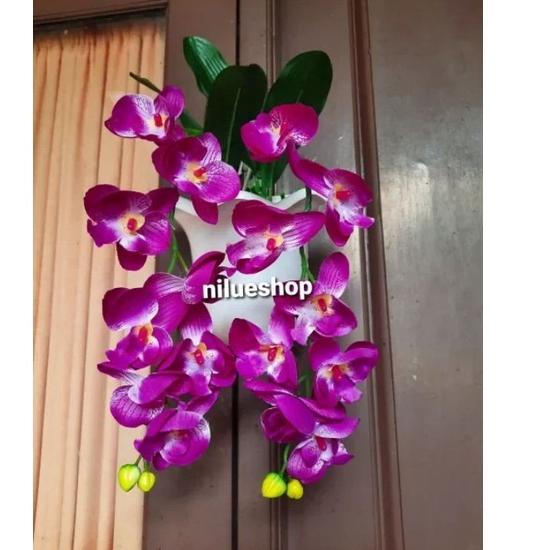 Promote BUNGA ANGGREK BULAN INCLUDE POT TEMPEL DINDING PLASTIK/HIASAN DINDING Garansi Produk