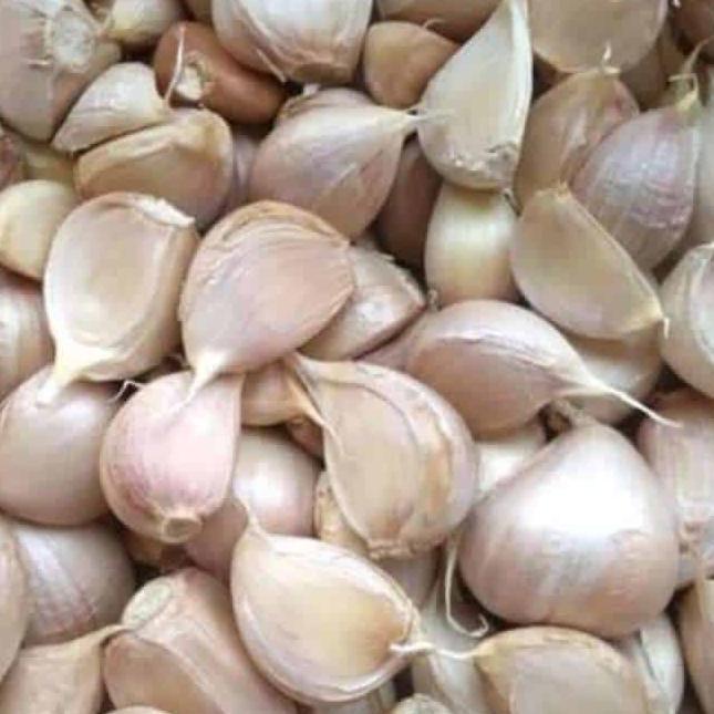 

Limited ✅⭐ BAWANG PUTIH KATING TANPA BONGGOL 1KG