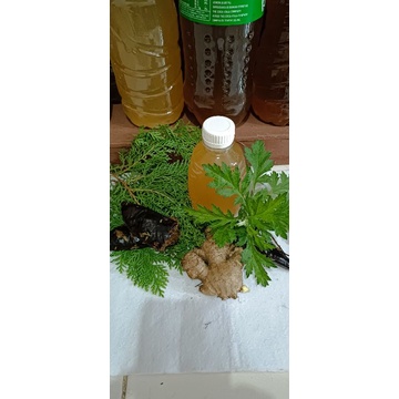 Shampoo Alami CK 250ml, joss untuk rambut rontok dan gatal