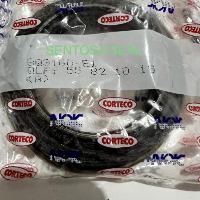 Oil Seal Nok Bq3160E