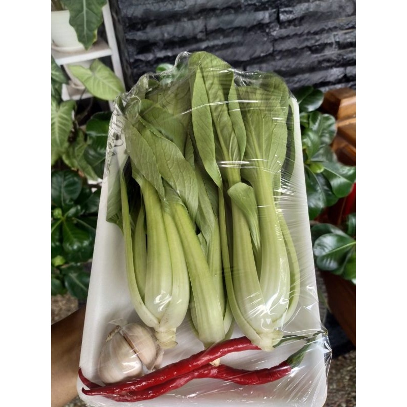 

[PALEMBANG] PAKET SAYUR PAKCOY + BUMBU - SAYUR BUAH IKAN SEGAR ONLINE PRETTY OLSHOP PALEMBANG