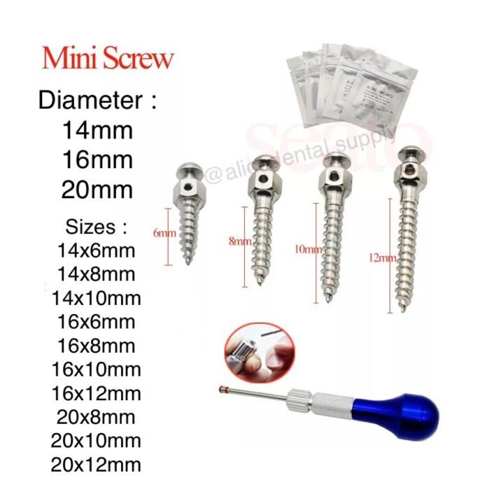 Dental mini screw ortho orthodontic screw implant screw implan