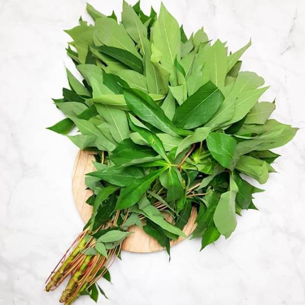 

Daun Singkong 1 Ikat