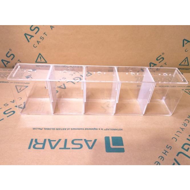Aquarium Soliter Akrilik Cupang Transparan 5 Kamar 50 X 10 X 15 2Mm