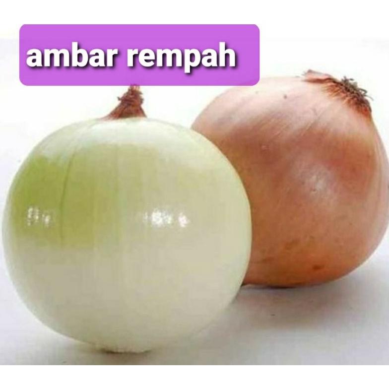 

Bawang bombay kupas 1kg. Best Seller