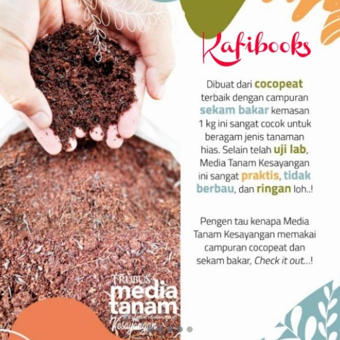 MEDIA TANAM PAKET SEMPURNA 2 BUKU AGLONEMA DAN 1 BUKU SANSIVERA + MEDIA TANAM 1 KG EL09I09A82L