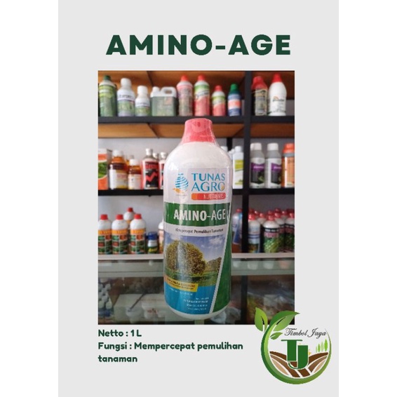 AMINO AGE 1 LITER