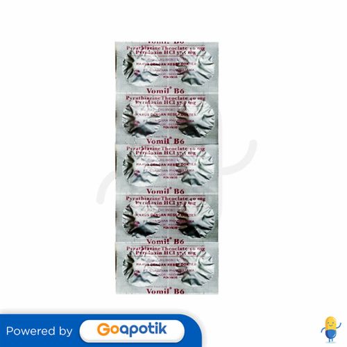 VOMIL B6 STRIP 10 TABLET