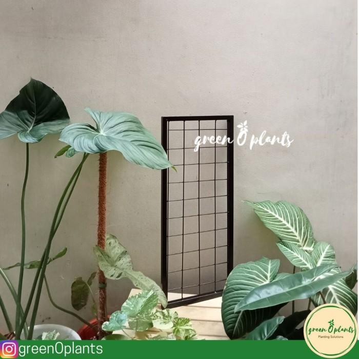 Terlaris Rak Vertical Garden 60Cmx25Cm