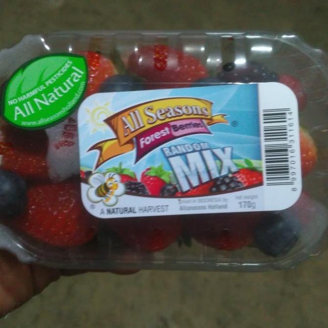 

Forest Mix Berries Fresh Mixed Berry Segar Mixberries Buah Mixberry