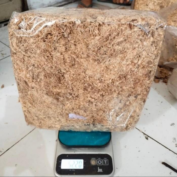 Best Seller Media Tanam Sphagnum Moss 500 Gram, Spagnum Moss Import Chile