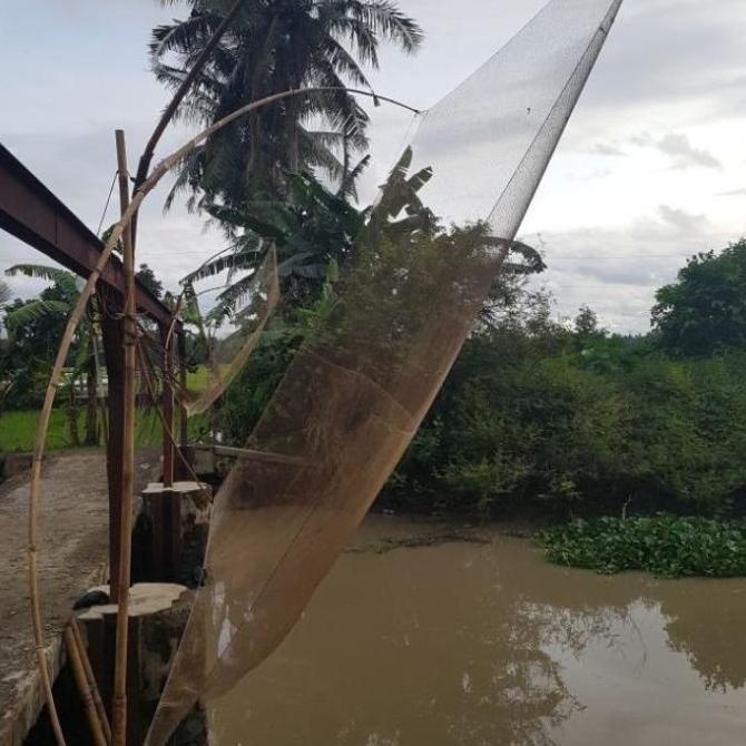 JARING ANCO PENANGKAP IKAN TRADISIONAL( KHUSUS IKAN