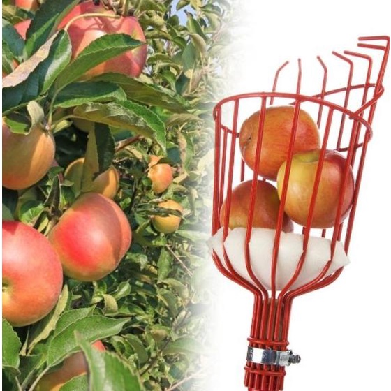 ] Alat Pemetik Galah Buah Metal Fruit Picker Bantu Petik Pengambil Buah