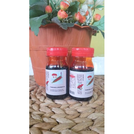 Aurabaik Buah Merah Papua Minyak Buah Merah Garansi Original