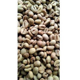 

Terkini.. KOPI ANA Green Bean Robusta Dampit Grade1 BB 1 I9V