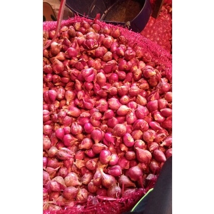

[KODE PRODUK CC6KT9983] BAWANG MERAH CAMPUR /KG