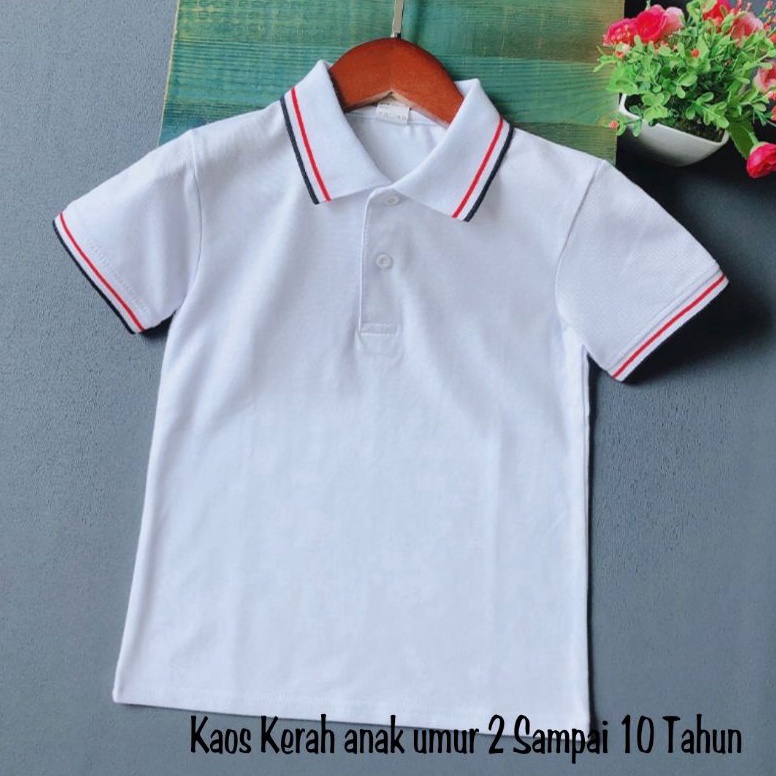 Baju Polo Anak Kaos Kerah Anak Polos Usia 2 sampai 10 Tahun Kaos Distro Anak Kaos Wangki Anak Baju A