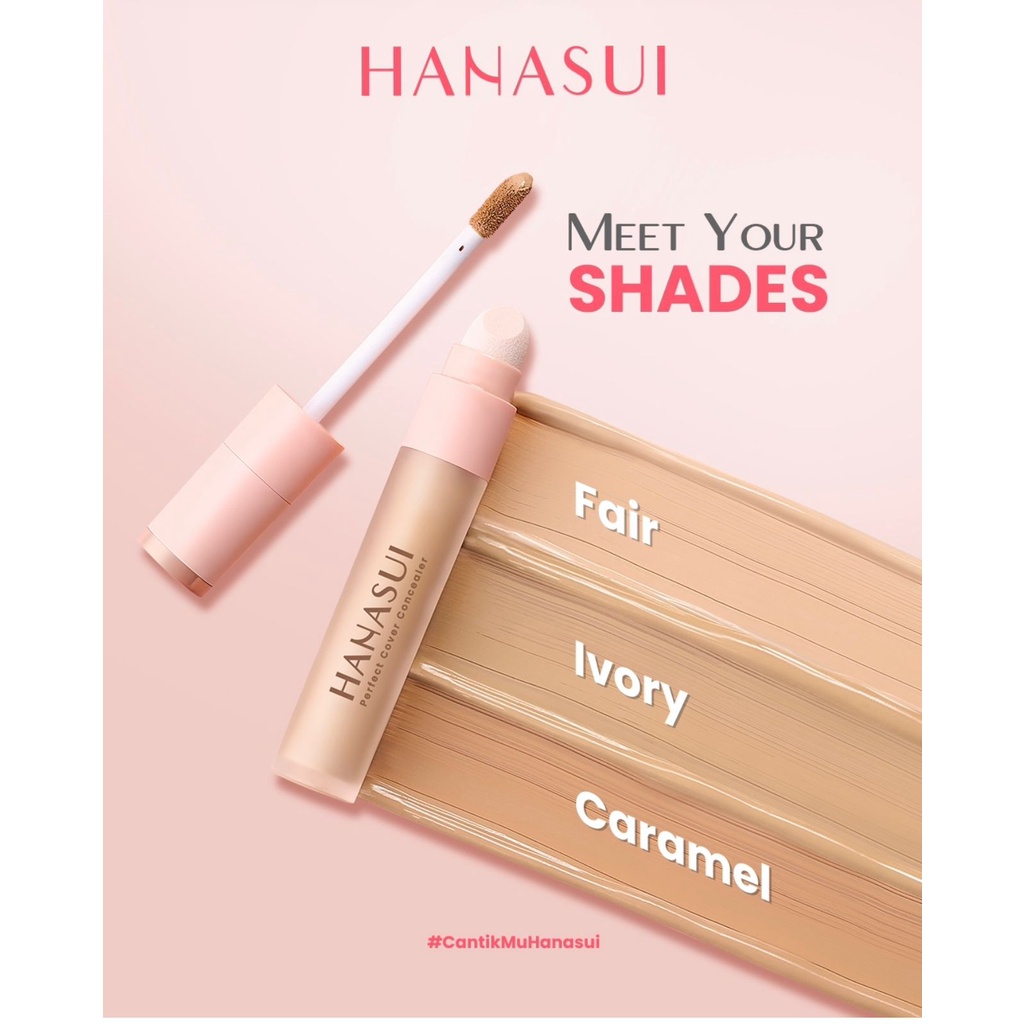 HANASUI PERFECT COVER CONCEALER - COLOR PERFECTION DARK CIRCLE