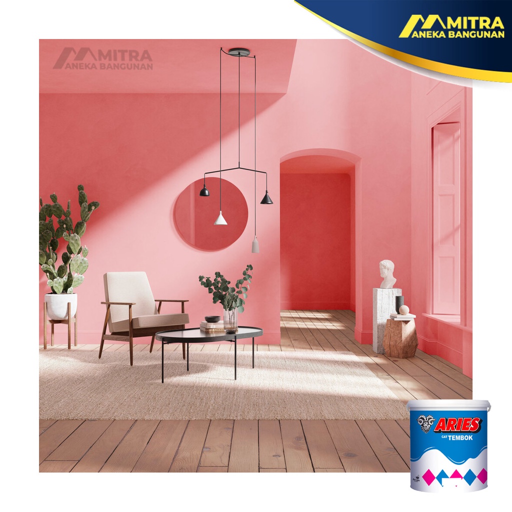 CAT TEMBOK ARIES AVIAN 5 KG /CAT TEMBOK MURAH / CAT DINDING INTERIOR / CAT PLAFON GRC GYPSUM