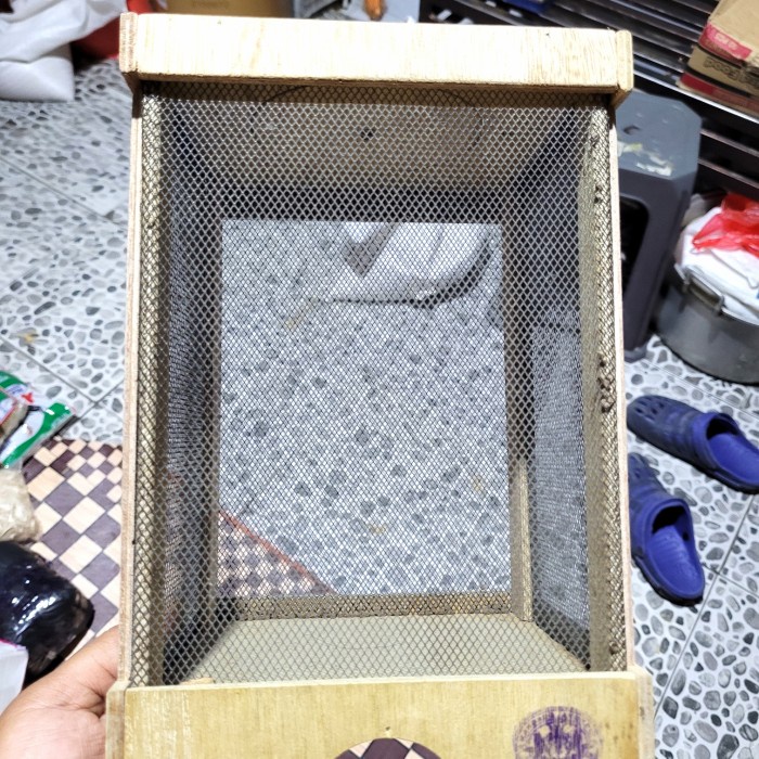 kandang jangkrik besar murah