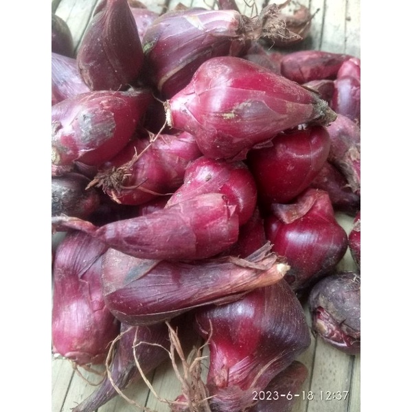

bawang dayak segar 500gram