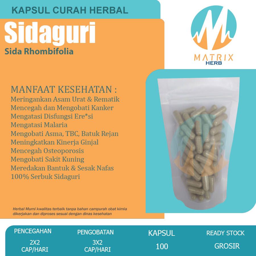SIDAGURI 100 Kapsul Herbal Lemah Syahwat Eksim Asma Anti Radang Ginjal