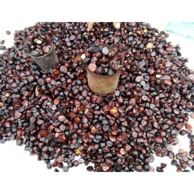 

Sale KABAU /JOLANG JALING/JENGKOL SUMATERA 250gr N00
