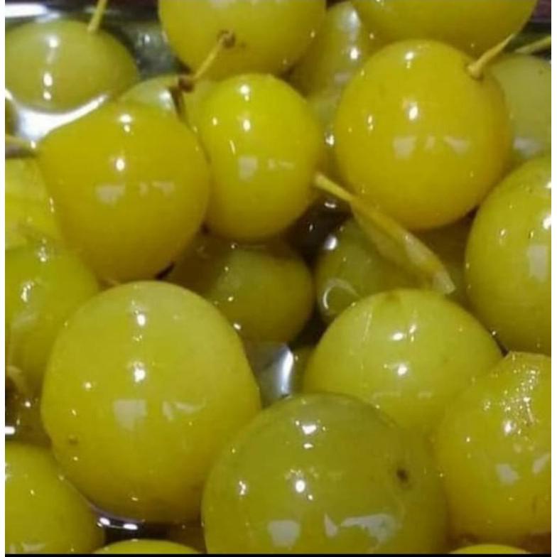 

Sale 7.7 Manisan Basah Anggur Bogor 1kg