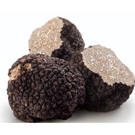 

Fresh Whole Black Truffle Mushroom Jamur Hitam Truffle Segar Italy
