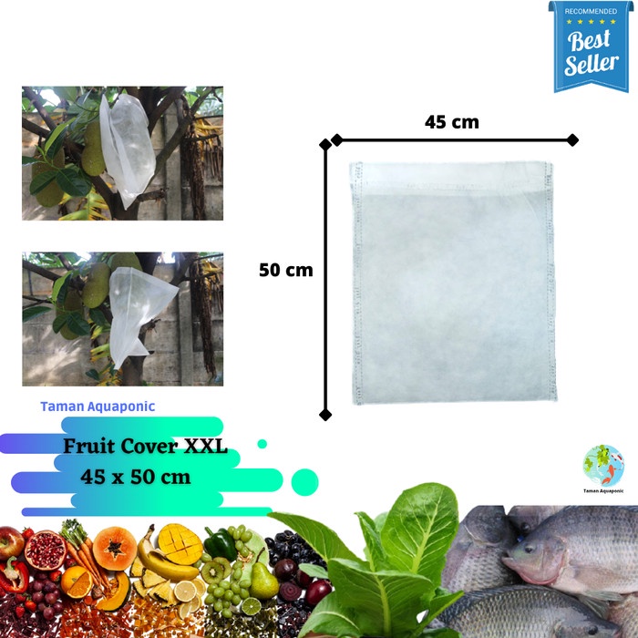 

Terlaris Fruit Cover Xxl 100 Pcs